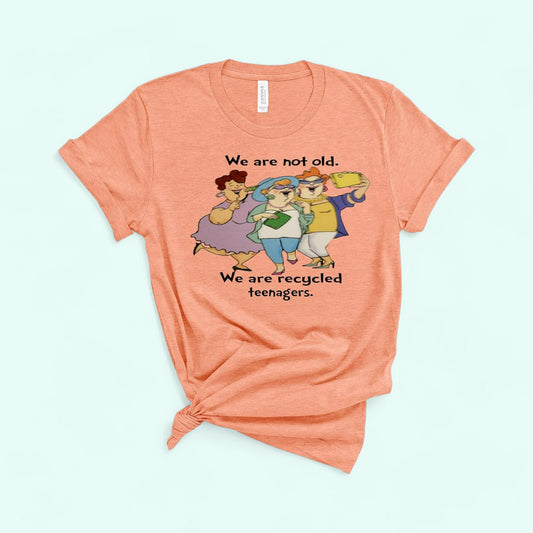 Woman funny t-shirt sunset color