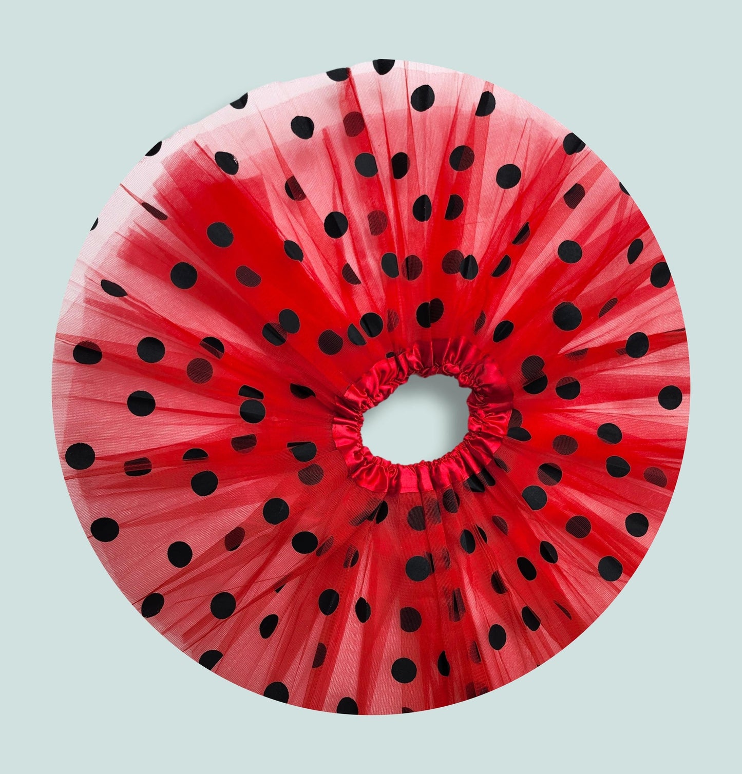 Ladybug tutu 